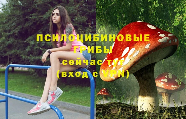 бутират Армянск