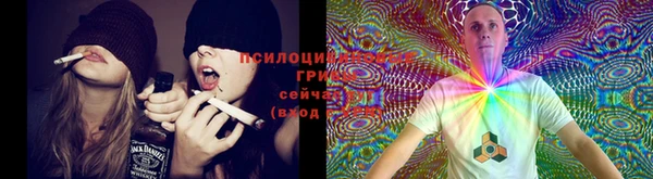 метадон Аркадак