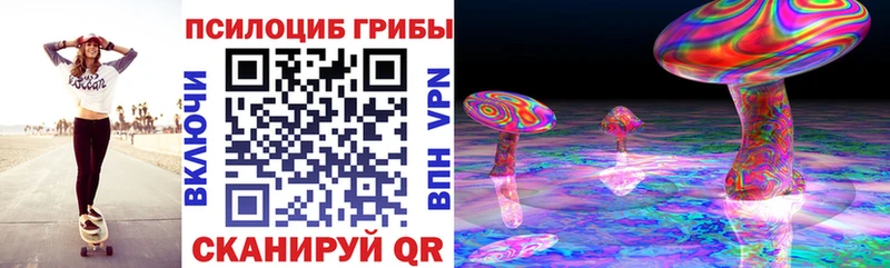 Псилоцибиновые грибы MAGIC MUSHROOMS  Пущино 